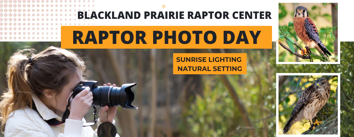 Photo Day - March 14