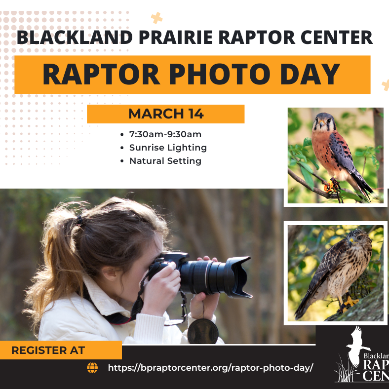 Photo Day - March 14 - logo